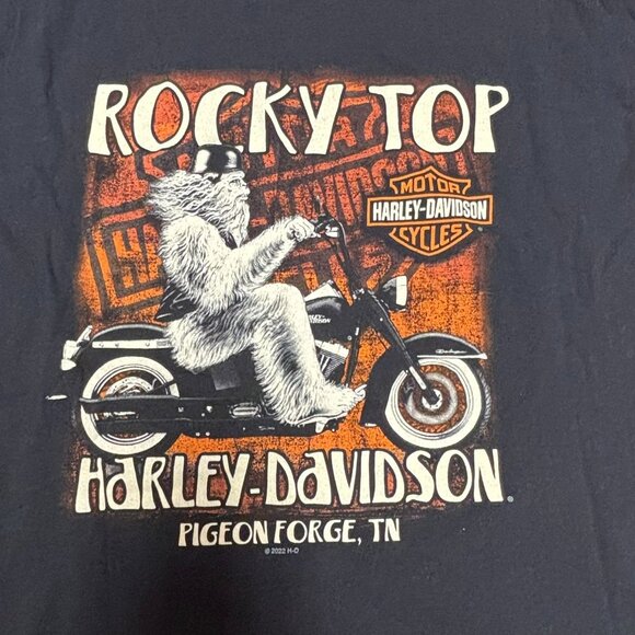 Rocky Top Harley Davidson T-Shirt - Picture 2 of 5